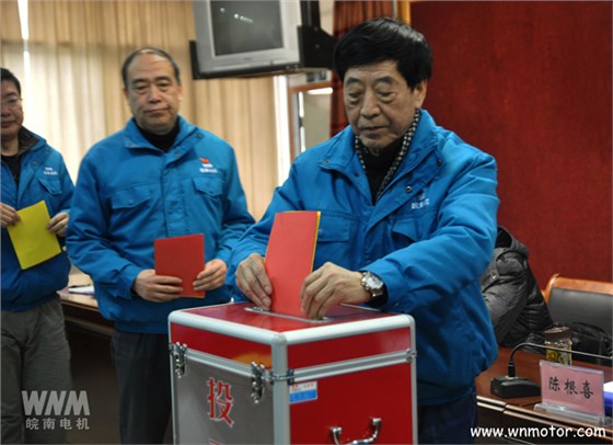 皖南電機陳根喜、管兵在投票現(xiàn)場