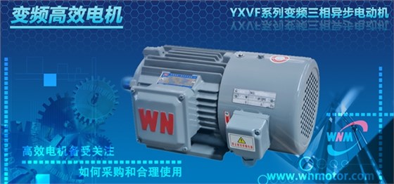 高效電機 高效電機