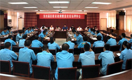 皖南電機省質(zhì)量獎總結會議召開
