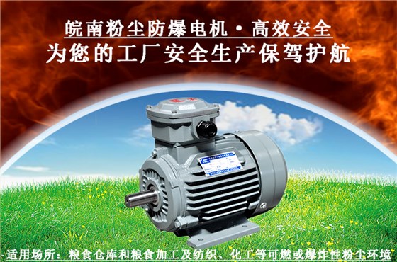 粉塵防爆電機 粉塵防爆電機