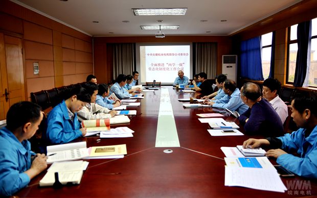 皖南電機(jī)黨委召開支部書記會議 皖南電機(jī)黨委召開支部書記會議