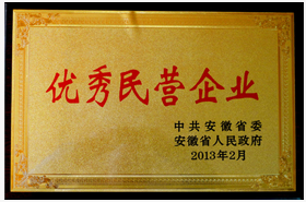 皖南電機：優(yōu)秀民營企業(yè)