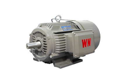 YEJ2系列電磁制動三相異步電動機(jī)