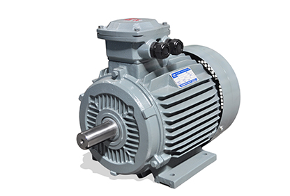 YFB2系列粉塵防爆三相異步電動(dòng)機(jī)(停產(chǎn)) YFB2系列粉塵防爆三相異步電動(dòng)機(jī)(停產(chǎn))