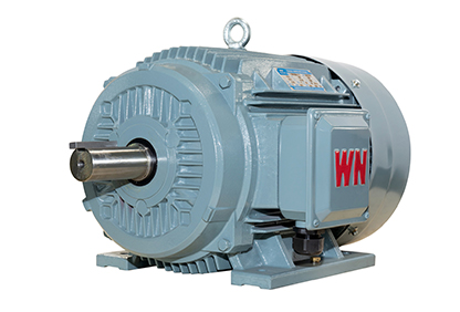 TYCP2系列三相變頻驅(qū)動永磁同步電動機 TYCP2系列三相變頻驅(qū)動永磁同步電動機