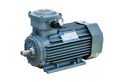 YFB5系列高效率粉塵防爆型三相異步電動(dòng)機(jī) YFB5系列高效率粉塵防爆型三相異步電動(dòng)機(jī)
